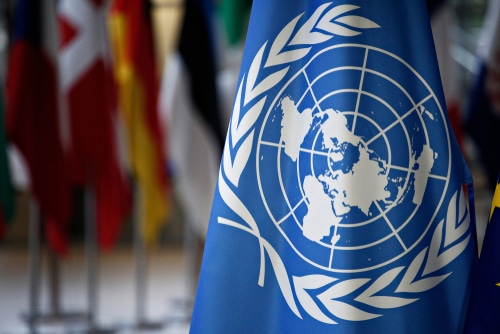 קונצנזוס מוחלט: ההצעה שזכתה לתמיכת כל 193 המדינות החברות באו"ם