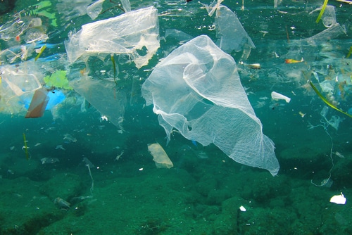 מחקר חדש: כמות אדירה של פסולת פלסטיק במעמקי האוקיינוס