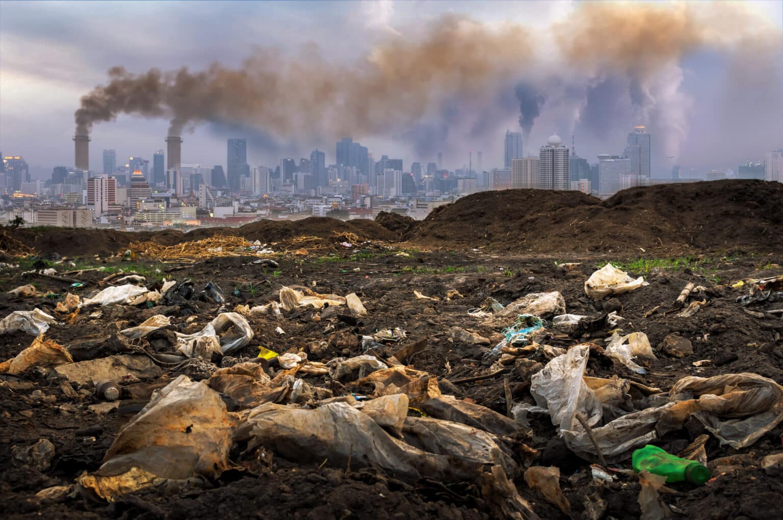 ישראל מדורגת בתחתית מדינות ה-OECD במחזור פסולת עירונית