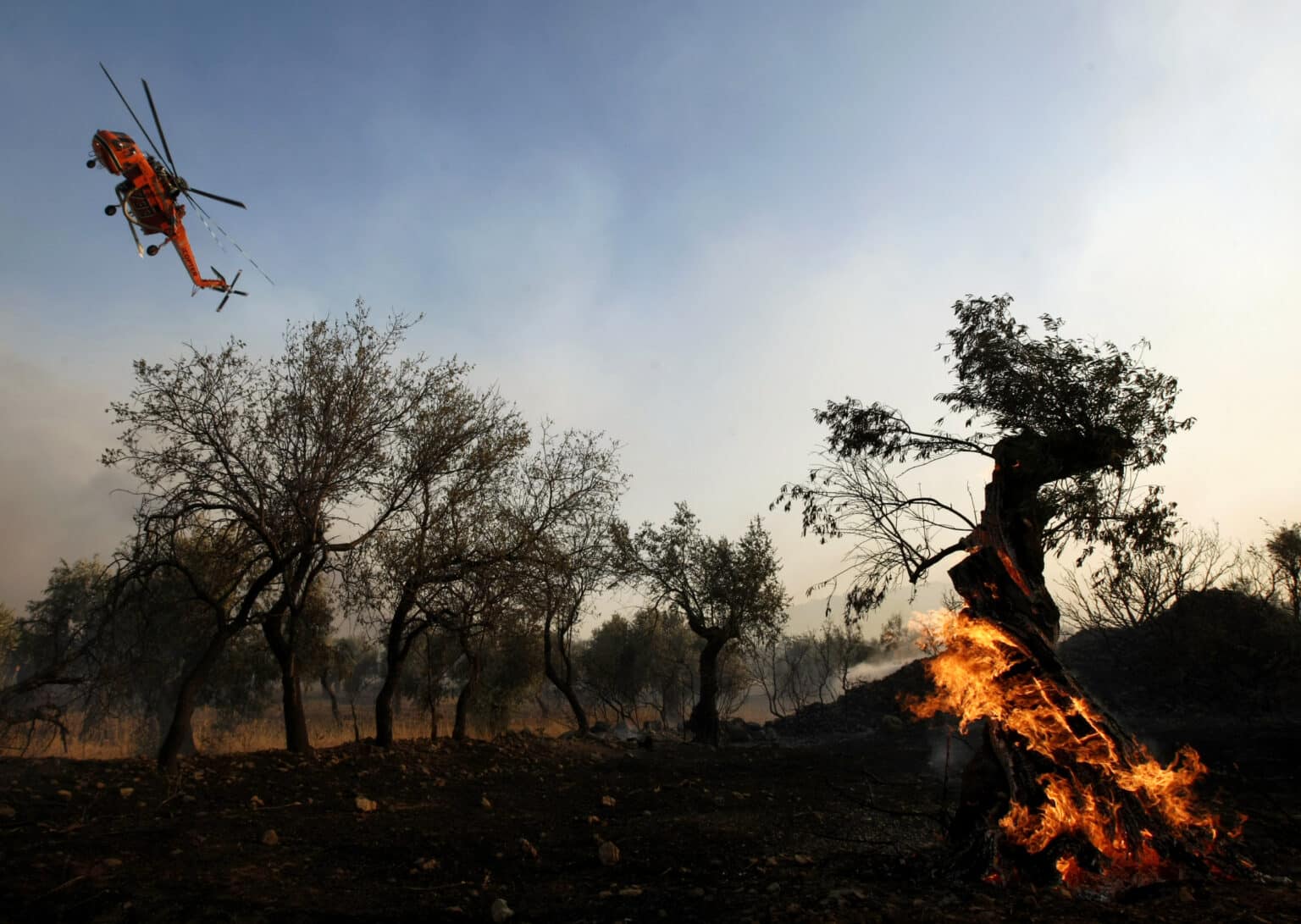 שריפות, בצורת ובעיות בריאותיות: יבשת אירופה מתחממת בקצב מהיר